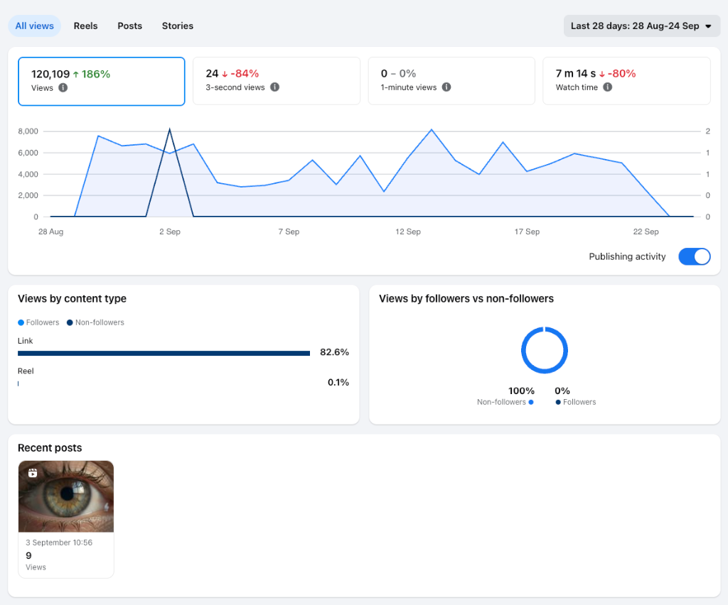 Instagram Analytics (28 Days)